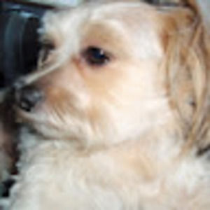 Meet your Posher, Wanda